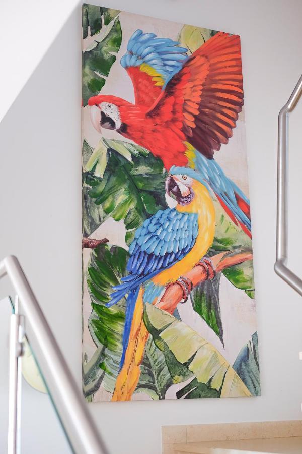 Apartamento Amazing Views Casa Hummingbird Lagos Exterior foto